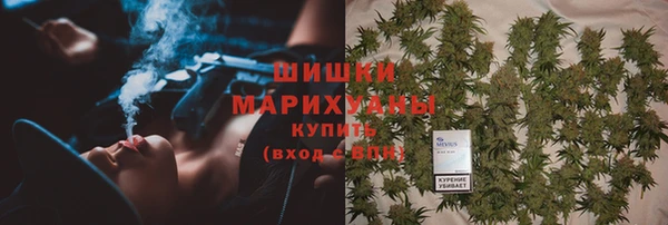 винт Верея