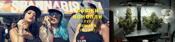 винт Верея